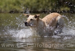 37 Wasseraction
